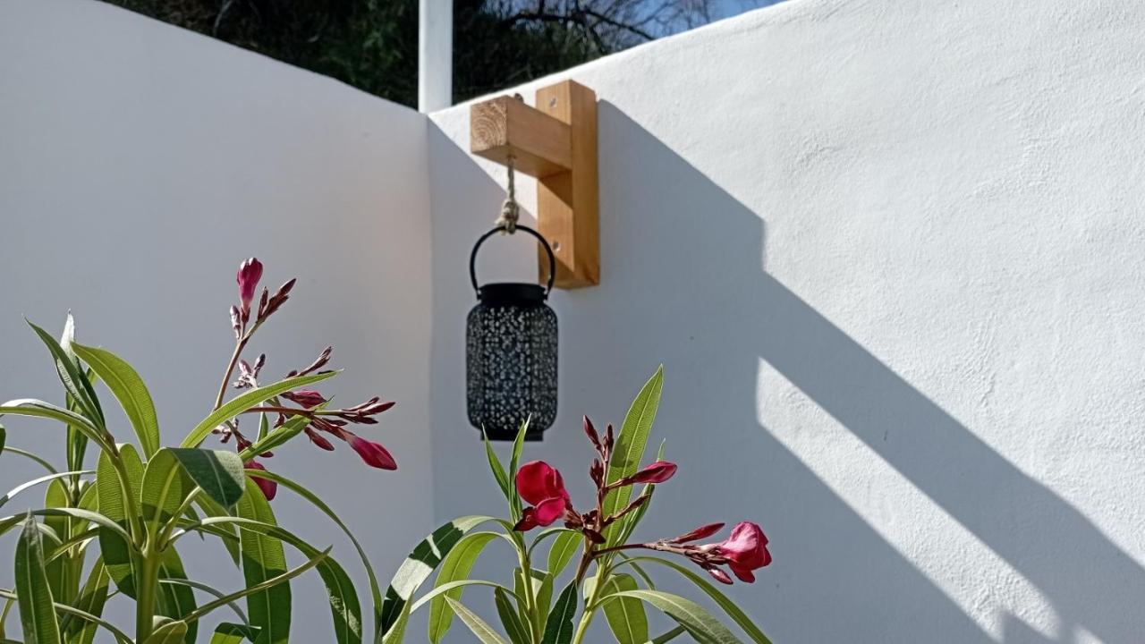 Apartmán Casa Maliyaa Almáchar Exteriér fotografie